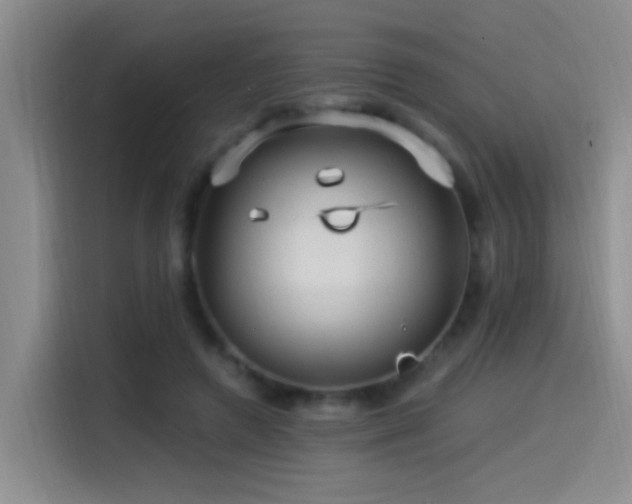 X0000115520546200911061419