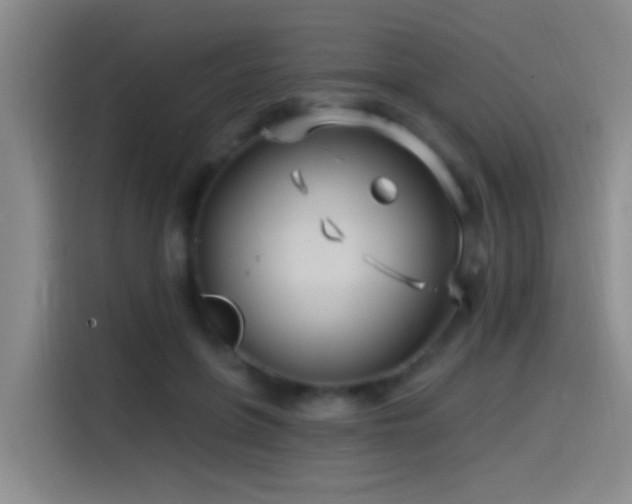 X0000115520551200911061419