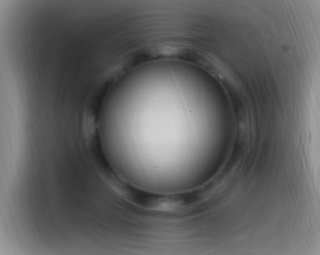 X0000115520555200911061419