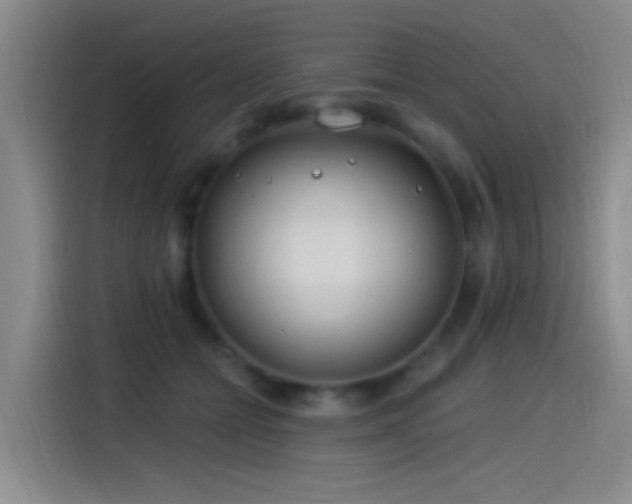 X0000115520558200911061419
