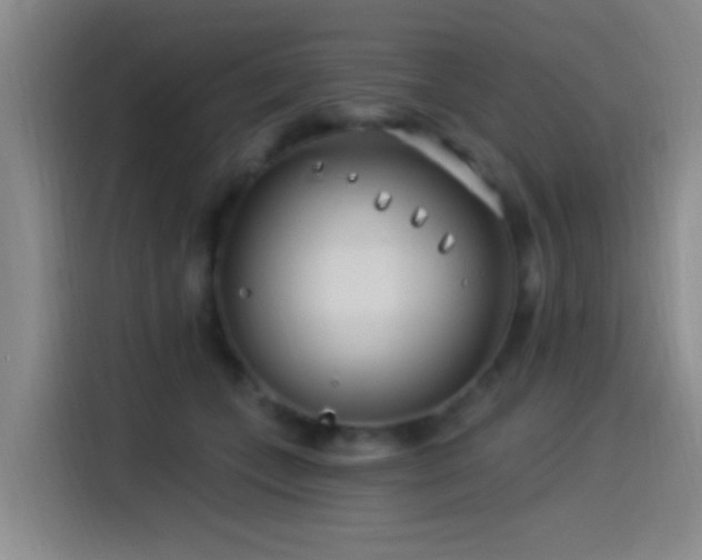 X0000115520559200911061419
