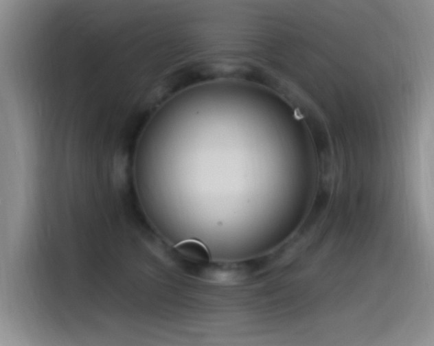 X0000115520563200911061419