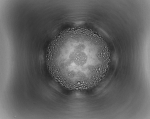 X0000115520565200911061419