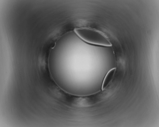 X0000115520566200911061419