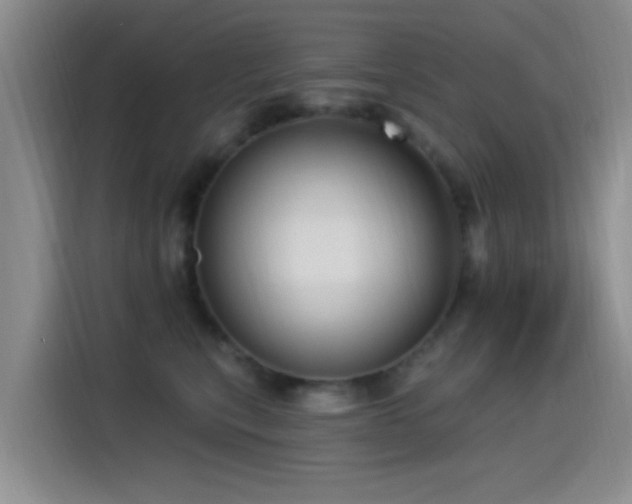 X0000115520567200911061419