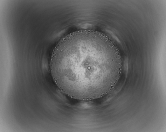 X0000115520569200911061420