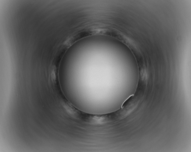 X0000115520570200911061420