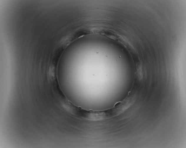 X0000115520571200911061420