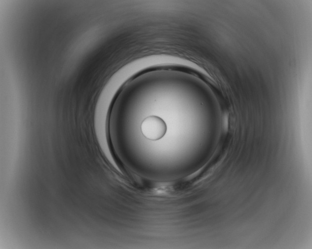 X0000115520573200911061420