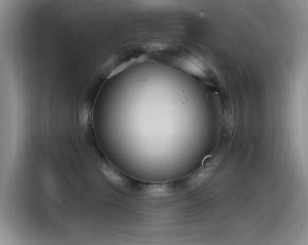 X0000115520574200911061420