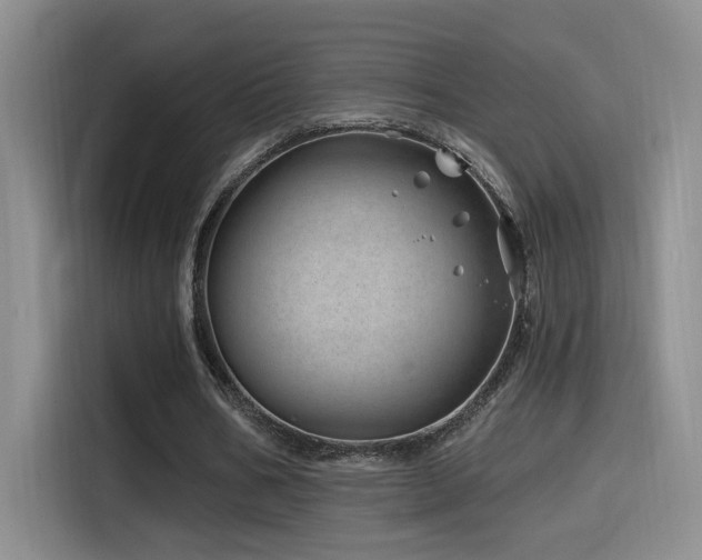 X0000115520578200911061419