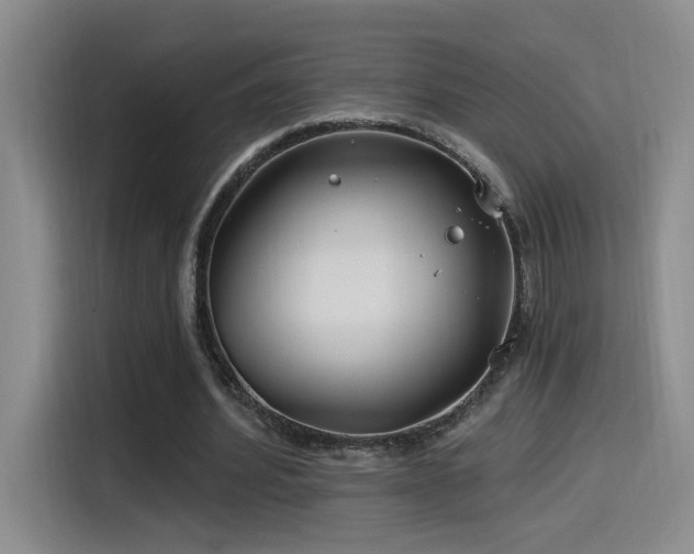 X0000115520580200911061419