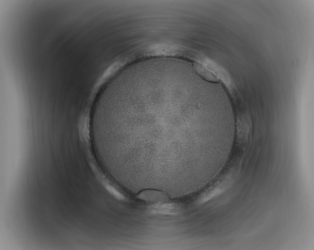 X0000115520581200911061419