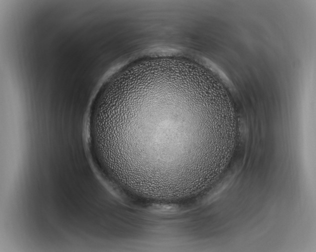 X0000115520582200911061419