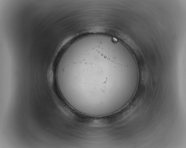 X0000115520584200911061419