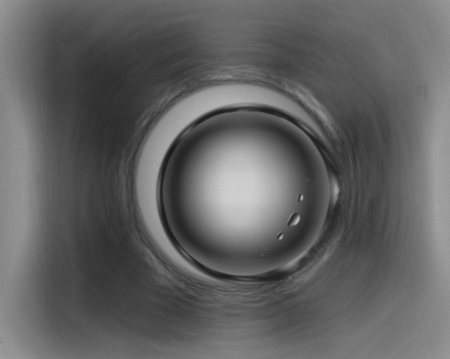 X0000115520585200911061419