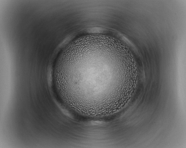 X0000115520586200911061419