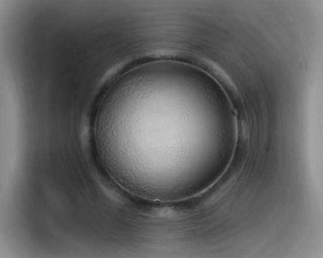 X0000115520588200911061419
