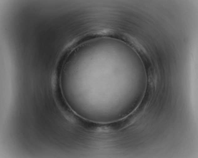 X0000115520591200911061419