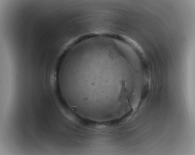 X0000115520592200911061419
