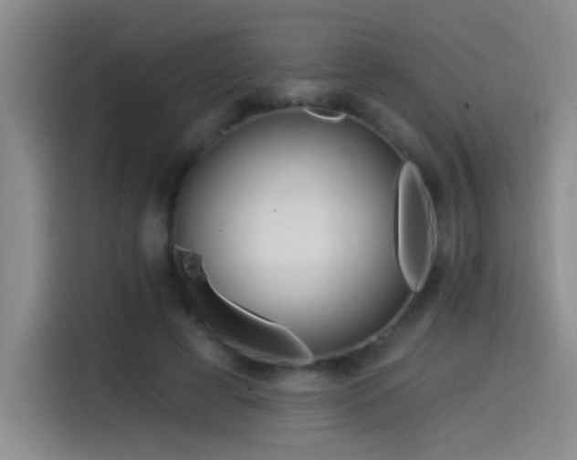 X0000115520593200911061419