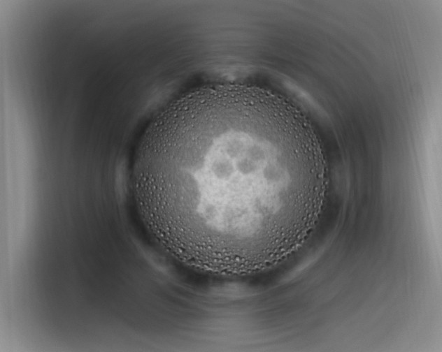 X0000115520594200911061419