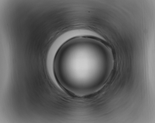 X0000115520595200911061419