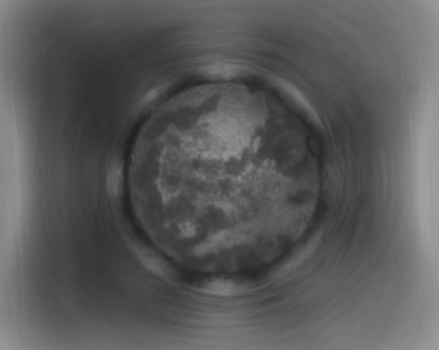 X0000115520596200911061419