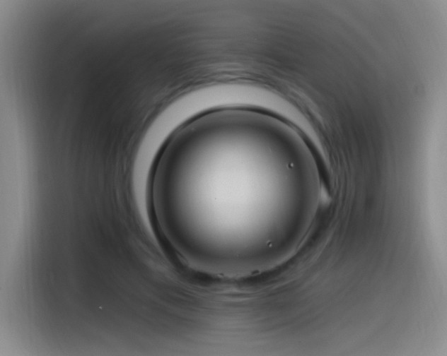 X0000115520597200911061419