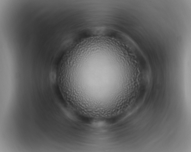 X0000115520602200911061419