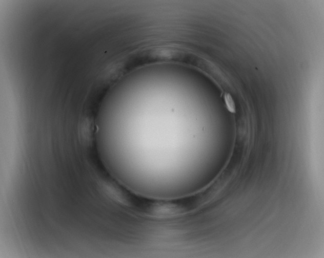 X0000115520605200911061419