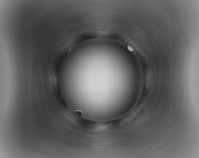 X0000115520613200911061419