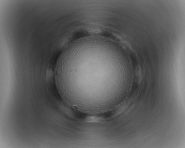X0000115520614200911061418