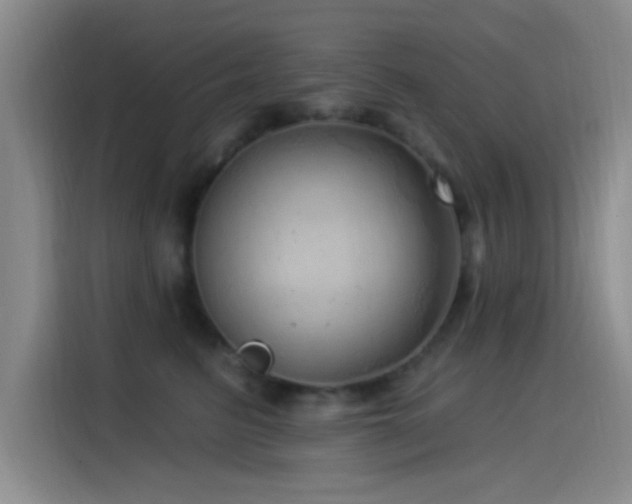 X0000115520615200911061418