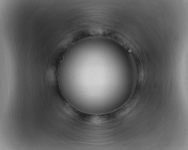 X0000115520616200911061418