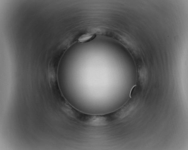 X0000115520617200911061418