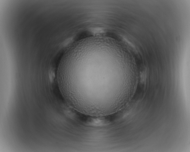 X0000115520618200911061418