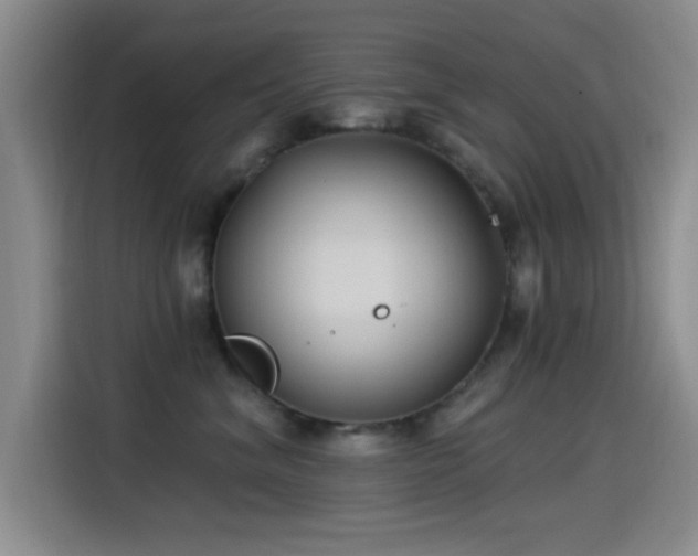 X0000115520620200911061418