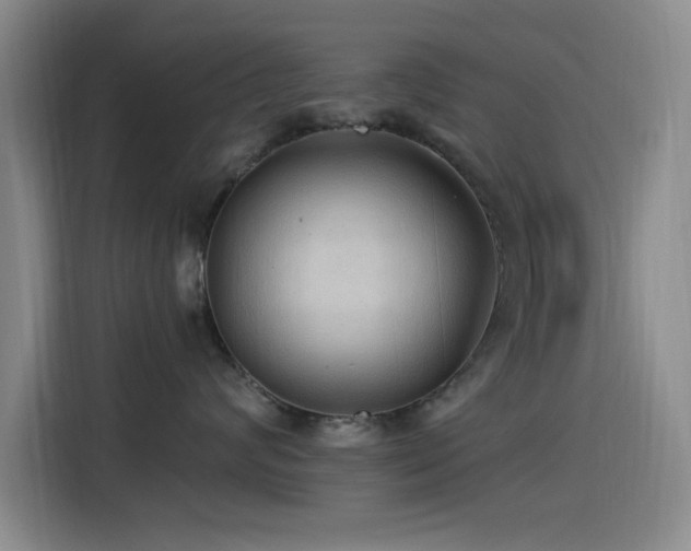 X0000115520624200911061418