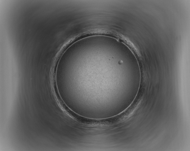 X0000115520625200911061418
