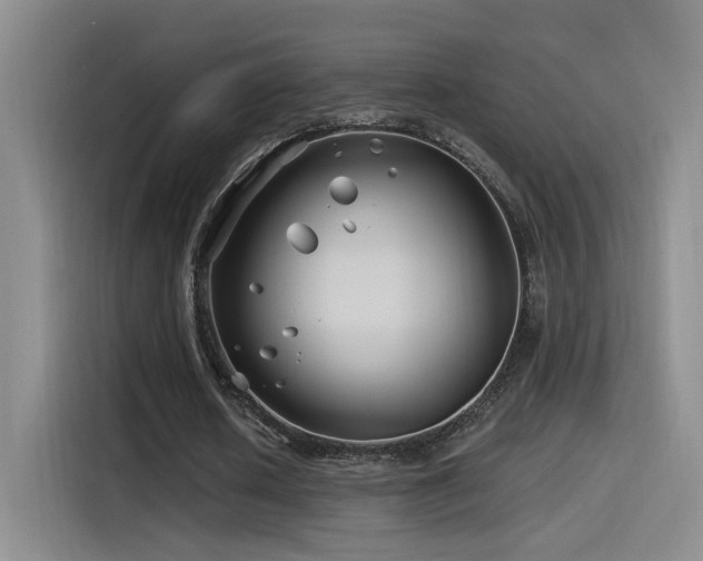 X0000115520626200911061418