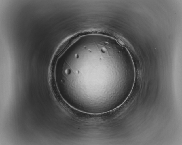 X0000115520628200911061418