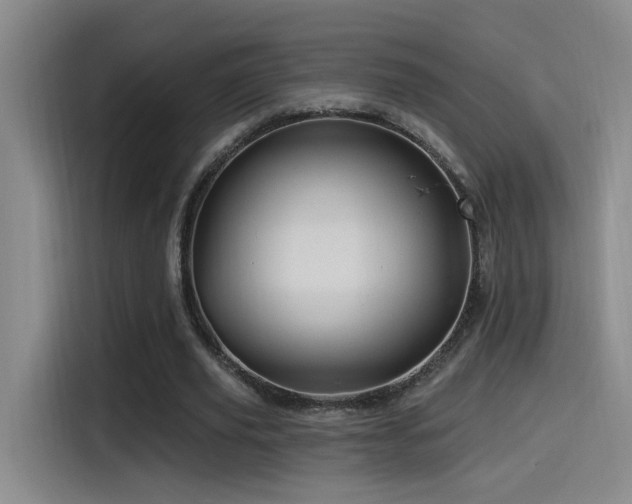 X0000115520629200911061418