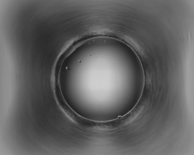 X0000115520630200911061418