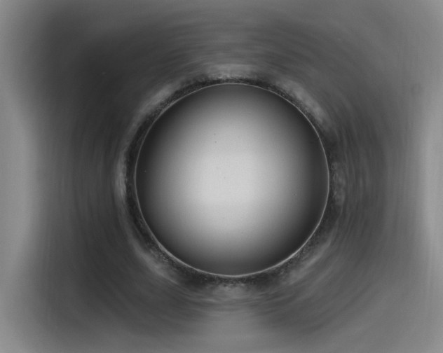 X0000115520631200911061418