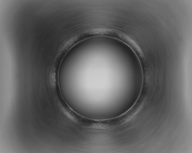 X0000115520633200911061418