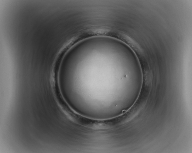 X0000115520634200911061418