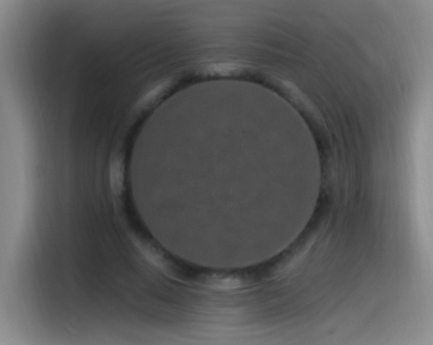 X0000115520640200911061418