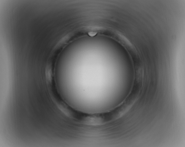 X0000115520644200911061418