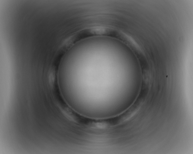 X0000115520645200911061418